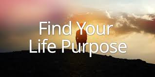 find your life purpose