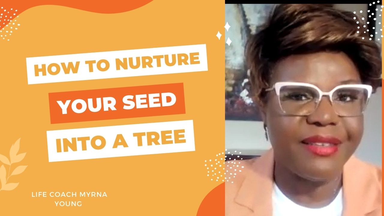 How to nurture your seeds into a tree